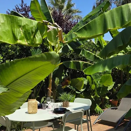 Avec Terrasse Tropicale A 3 Min De La Апартаменти *